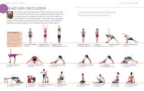 Check spelling or type a new query. Bks Iyengar Yoga The Path To Holistic Health The Definitive Step By Step Guide Iyengar B K S Amazon De Bucher