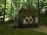 Forest Cabin Interior