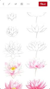 Art lotus flower drawing easy. Fraulen Austen Diy Flowers Flower Drawing Flower Drawing Tutorials Easy Flower Drawings