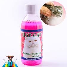 Katherine can provide total grooming of all dead hair leaving your cats coat completely knot and matt free. Cats Grooming Supplies Online In Pakistan Daraz Pk