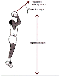 What Biomechanical Principles Are Used In Performing A Basketball Jump Shot