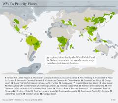 Want to know more about working here? Climate Change Threatens Half Of Wildlife In Biodiversity Hotspots Study Says Environment All Topics From Climate Change To Conservation Dw 14 03 2018