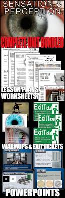 Sensation And Perception Entire Unit Bundled Includes The Sensation Perception Powerpoint With Presenter Notes W Teaching Psychology Ap Psychology Psychology
