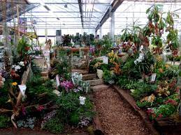Die schönsten artikel und beste beratung bekommen sie in unserem. Schones Gartencenter Bellandris Garten Center Rosenheim Rosenheim Reisebewertungen Tripadvisor