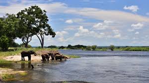 There is information about where it is located, it's history, when it was discovered, and the animals that can be found in and around it. Zambezi River Facts And Information