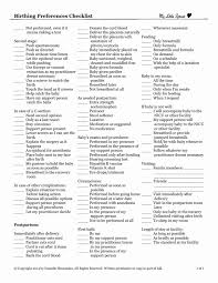 Visual Birth Plan Template Free Editable 40 Visual Birth Plan Template In 2020 Simple Business Plan Template Birth Plan Template Business Plan Template Free
