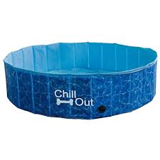 All For Paws Afp Chill Out Splash And Fun Dog Pool Medium Continue To The Product At The Image Link This Is An Affiliate Li Dog Pool Best Dogs Dog Safety