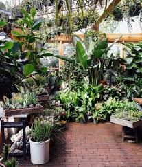 When You Start Your Day With A Dose Of Green You Re Bound To Have A Good One Plants House Plant Pots Plant Aesthetic