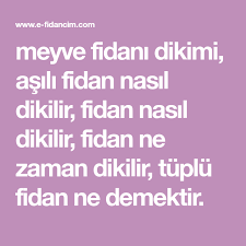 Fidanlar, sonbaharda yaprak dökümü ile ilkbaharda ağaçlara su yürümeye başlamasına kadar geçen devrede dikilir. Meyve Fidani Dikimi Asili Fidan Nasil Dikilir Fidan Nasil Dikilir Fidan Ne Zaman Dikilir Tuplu Fidan Ne Demektir Meyve