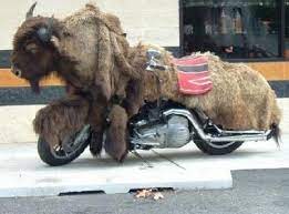 In terms of returns, saturday is also classified as red on the mediterranean coast and orange in the rest of the country. Insolite On A Retrouve Bison Fute Et Il Roule