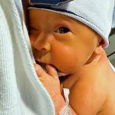 Ryan Stefan's Instagram, Twitter & Facebook