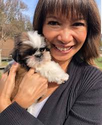 Shih tzu puppy reaches one year milestone