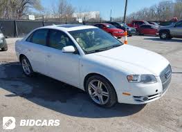 Image result for Arctic White 2006 A4