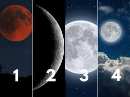 In addition to physical examination, you might need periodic imaging tests and blood tests to monitor any changes. Choose Your Favourite Moon And We Will Tell You Your Personality Type The Times Of India