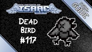 Dead bird isaac