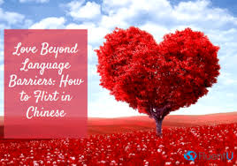 Due to poor english knowledge, complex chinese dictionary and clumsy chinese to english translations, signs that are supposed to help you out, only end up causing outbursts of unstoppable laughter! Love Beyond Language Barriers How To Flirt In Chinese