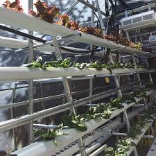 These plans include beginner, intermediate, and advanced setups. Vertical Hydroponics Part One Grozinegrozine