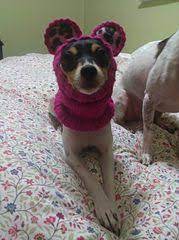 Pin On Free Chihuahua Patterns