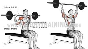 Pin On Weight Lifting