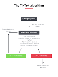 We suggest you to use tikfuel which is the leading provider of tiktok services. How Does Tiktok S Algorithm Work Quora