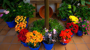 We did not find results for: La Flora En Los Patios De Cordoba Patios De Cordoba