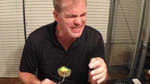 The colour of don don 3. These Youtubers Thought It Was A Great Idea To Eat A Whole Cactus Digg