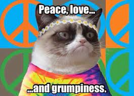 Peace Love And Grumpiness Grumpycat This Is So Me Funny Grumpy Cat Memes Grumpy Cat Grumpy Cat Humor