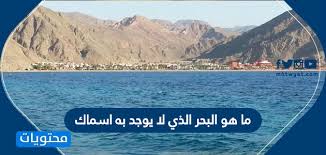 ما هو البحر الذي لا يوجد به اسماك موقع محتويات