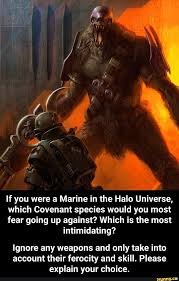 Pin On Funny Halo Memes