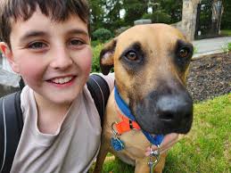 PUPDATE!!! Here's Louie and his boy! Perfect team!