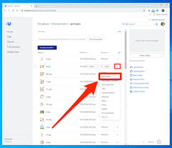 Hi i've been using dropbox for many years but apple had to erase my hard drive due to some issues and now i don't have the dropbox logo/app on my laptop. How To Download Files From Dropbox On A Mac Or Pc Business Insider