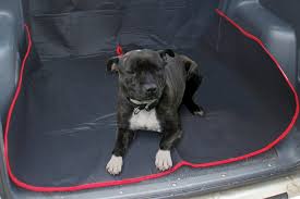 Heat lamp poultry, puppies, dog, kittens, piglets animals. Dog Dog Accessories Puppy Supplies Argos