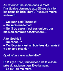Une Institutrice Demande De Citer Les Noms Des Arbres Blague Drole Blague Humour Noir Institutrice