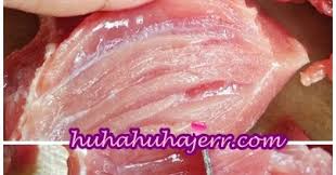 Istimewa untuk anda, hari ini kami akan kongsikan tips dan cara potong daging yang sebenar untuk anda cuba. Tips Memotong Daging Dengan Betul Agar Tidak Liat Dan Masakan Menjadi Lazat Blog Santai Santai Jerr