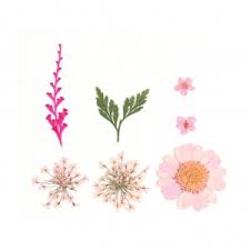 From hand dyed hydrangeas to bleached babalas and stipa feathers, there's something for everyone. Assortment Of Dried And Pressed Flowers On Board For Diy Creation Pink X1 Perles Co