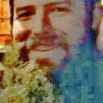 jefeyoumans' collection