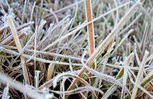 Isso acontece porque a massa de ar frio que atua sobre o estado deixa o tempo estável e com temperaturas baixas. Geada Wikiwand