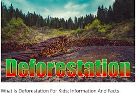 What Is Deforestation For Kids Information And Facts What Is Deforestation Deforestation Deforestation Facts