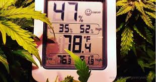 Indoor Aquaponics Humidity Aquaponic