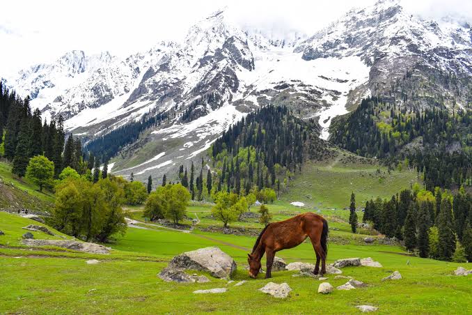 Kashmir Tourism : Best of Kashmir - HolidayMonk