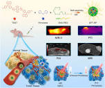 Phototheranostic nanoparticles with aggregation-induced emission ...