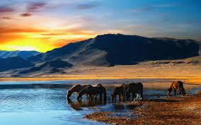 Beautiful Landscapes With Quotes Quotesgram