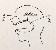 いい声を作る！ボイスポジションを狙え！ - ボイストレーニング ボイトレとは？上達に必要な全て！