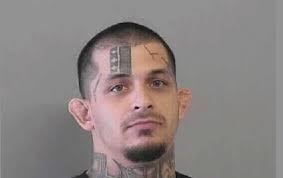 MACHETE SWINGING HOMEOWNER CONFRONTS BURGLAR