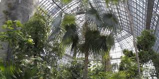 (weitergeleitet von botanischer garten berlin). Grosses Tropenhaus Berlin Botanischer Garten