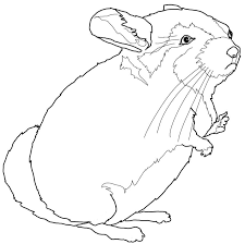More julieta's animals coloring pages. Coloring Pages Coloring Pages Chinchillas Printable For Kids Adults Free