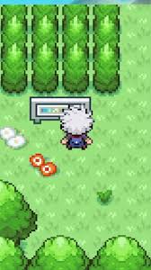 Pokemon Capturaveis na Rota 19 E VOLTA DE POKEMON DARK WORKSHIP NO  CANAL!!!! #pokemon #gameplay #youtube #game