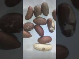 Petit Cola Youtube En 2020 Cola