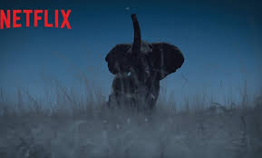 Dunya Da Gece Indir Turkce Dublaj Hd 2020 Gece Dunya Film