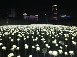 Ddp Led Rose Garden Seoul Tourist Attractions Epic Pictures Capital Of South Korea